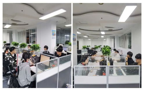 成都市成華區(qū)第七次全國(guó)人口普查咨詢熱線正式開(kāi)通，為您提供便捷信息咨詢服務(wù)